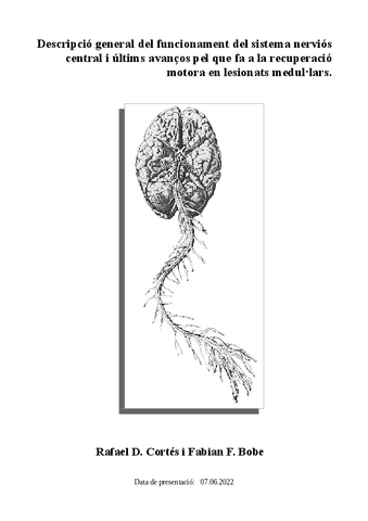 Treball-SNC-i-lesions.pdf