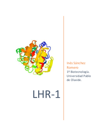 Lhr-1.pdf