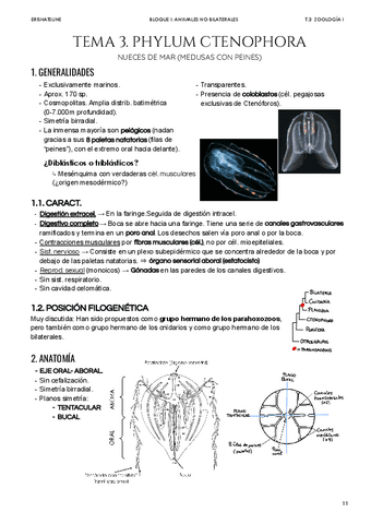 Tema-3-Ph-Ctenophora.pdf