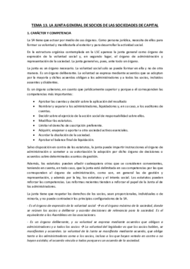 TEMA 13 MERCANTIL I.pdf