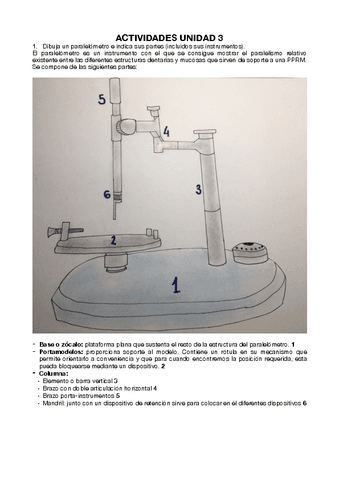 ACTIVIDADES-UT-3.pdf