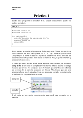 Practica_0001.pdf