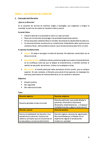 Apuntes-T1-Las-Fuentes-del-Derecho-Lucia-Cabrejas.pdf