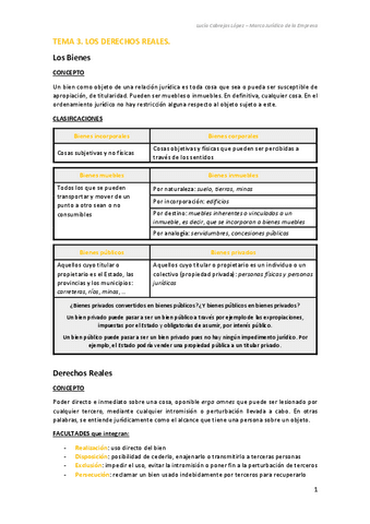 Apuntes-T3-Derechos-Reales-Lucia-Cabrejas-Lopez.pdf