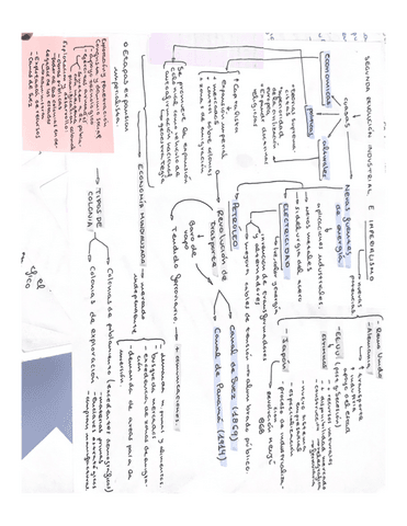 expansion-umperial.pdf