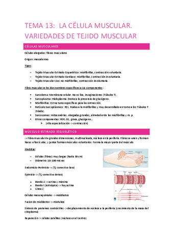 Tema-13-tejido-muscular.pdf