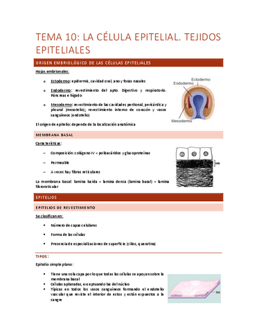 Tema-10-la-celula-epitelial.pdf