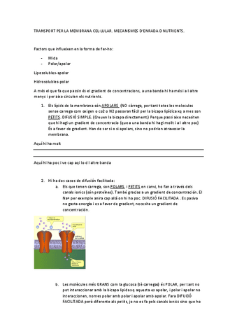 transport-membrana.pdf