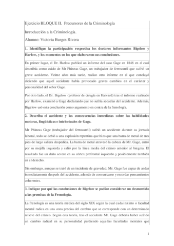 Practica 1.pdf