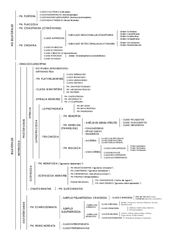 Clasificacion-Zoologia-I.pdf