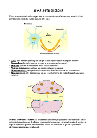 TEMA-2.pdf