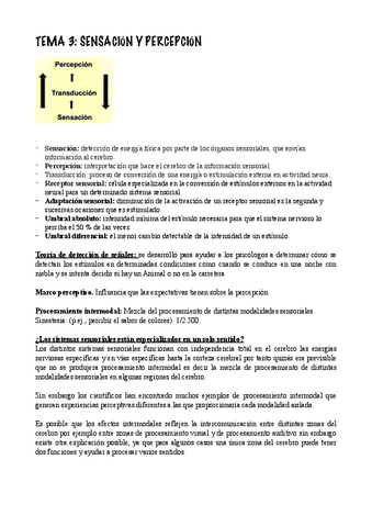 TEMA-3.pdf