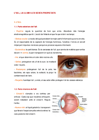 IL·LUMINACIÓ (TOT).pdf