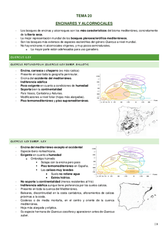 Tema-20.pdf