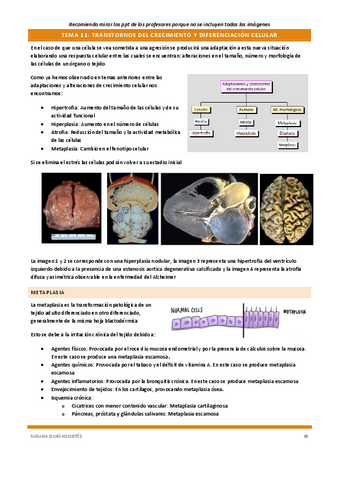 Documento-114removed-14.pdf