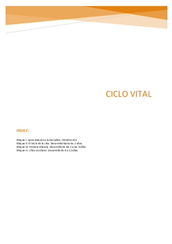 ciclo-vital.pdf