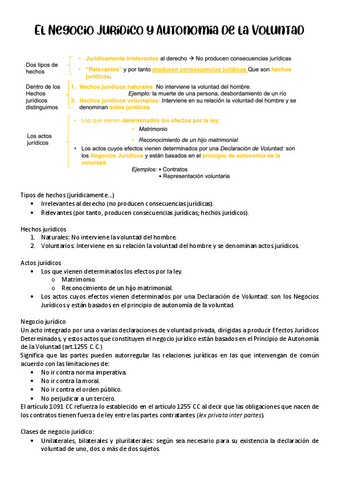 El-Negocio-Juridico-y-Autonomia-de-la-Voluntad.pdf