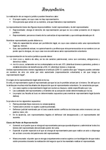 14. Representacion.pdf