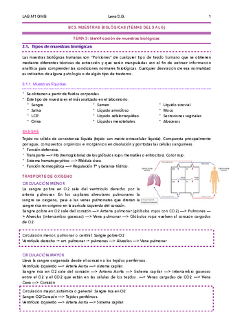 03-GMB-Tema-3-Apuntes-Lena.pdf