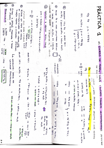 Practicas-de-quimica-inorganica.pdf