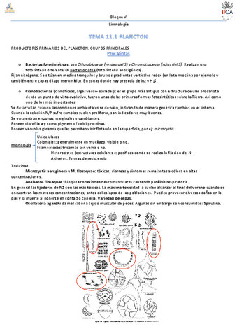 tema-11.pdf