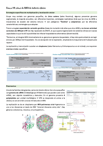Micromed-T14.pdf