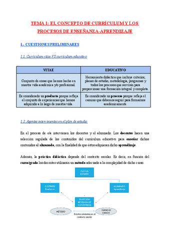TEMA-1-EL-CONCEPTO-DE-CURRICULUM-Y-LOS-PROCESOS-DE-ENSENANZA-APRENDIZAJE.pdf