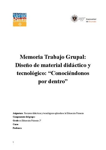 Memoria-Trabajo-Grupal.pdf
