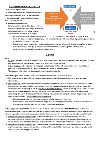 04. FISIOTERAPIA ETA ZIENTZIA + 05. MINA.pdf