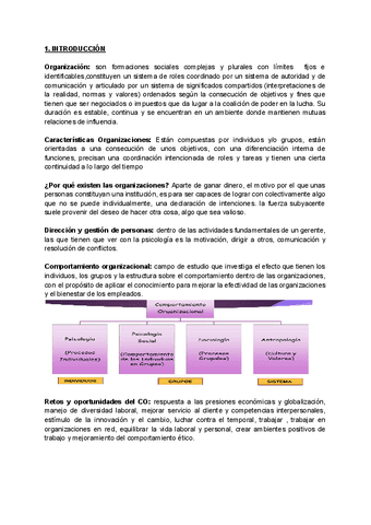 Apuntes-psico-tema-1-15.pdf