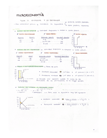 Microeconomia-temas-de-1-al-5.pdf