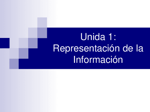 Representacion-de-la-Informacion.pdf