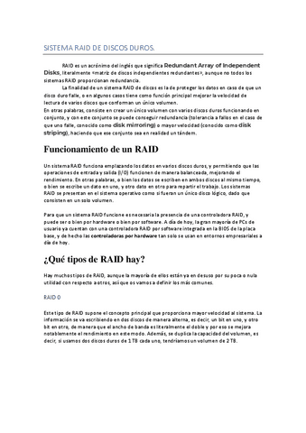 RAID.pdf