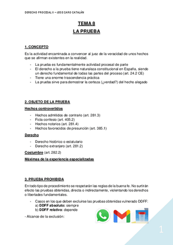 TEMA-8.pdf