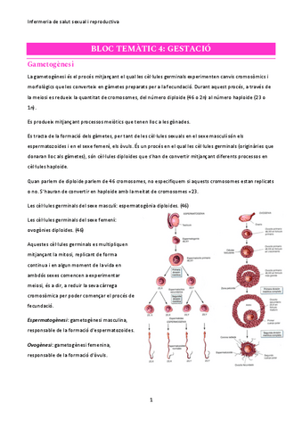 infermeria-obstetricia.pdf