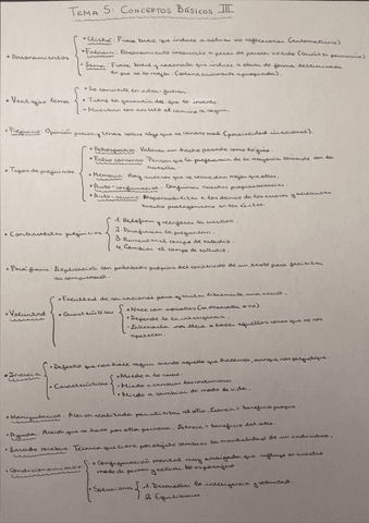 Tema-5-Conceptos-Basicos-III.pdf