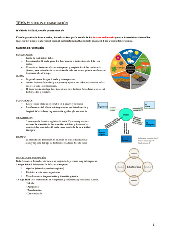 TEMA-9-GEOQUIMICA.pdf
