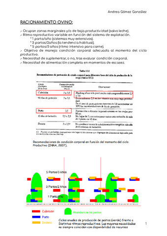 TEMA-31--intro-y-problema-1-.pdf