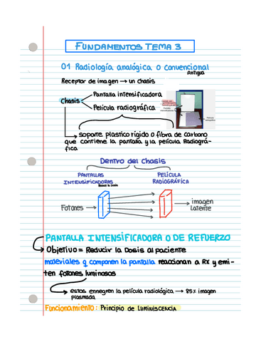 Fundamentos-T3-.pdf