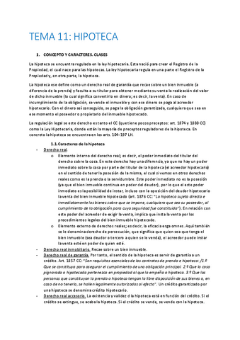 TEMA-11-CIVIL-II.pdf