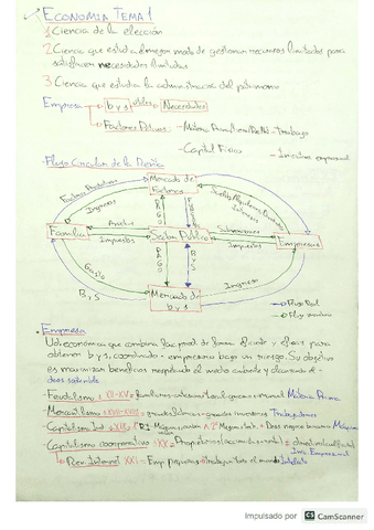 TEMA-1.pdf