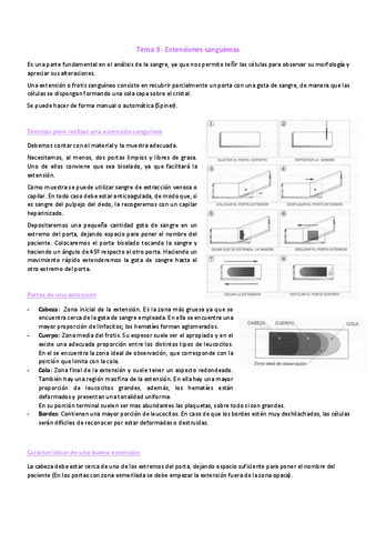 Extensiones-sanguineas.pdf