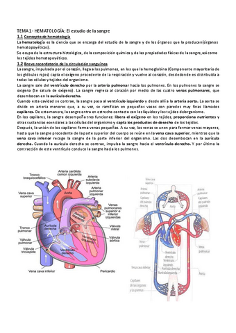 TEMA-1-hema.pdf