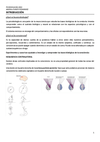 Psicobiologia-apuntes.pdf