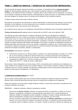 TEMA 2_ libertad sindical (d.colectivo).pdf