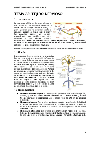 Tema-23.pdf