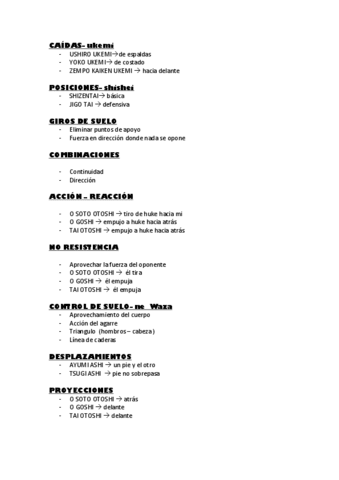 RESUMEN-PRACTICAS.pdf