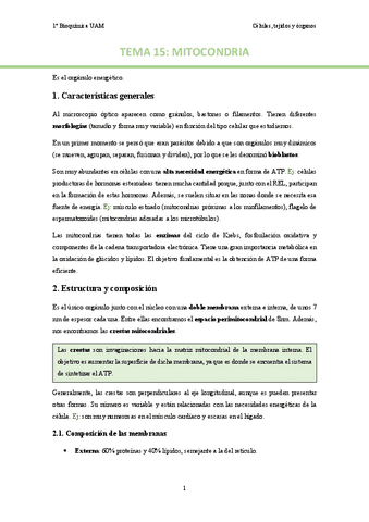 TEMA-15.pdf