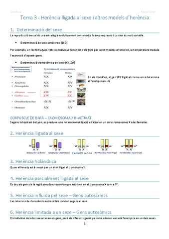 Tema-3-genetica.pdf