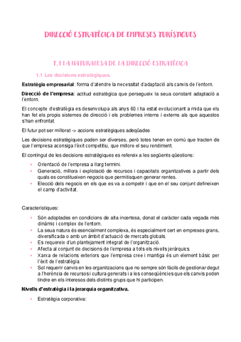 DIRECCIO-ESTRATEGICA-DE-EMPRESES-TURISTIQUES-resumenes.pdf